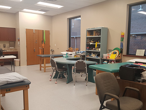 Therapy Section